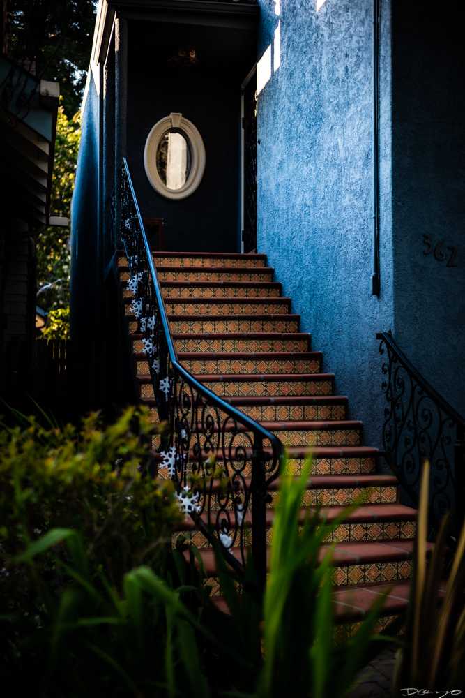 Photos of flowers, focaccia, fun Lucky Charms, and pretty Berkeley neighborhood sights.